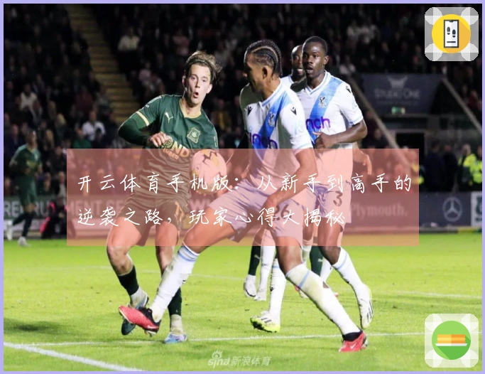 开云体育手机版：从新手到高手的逆袭之路，玩家心得大揭秘